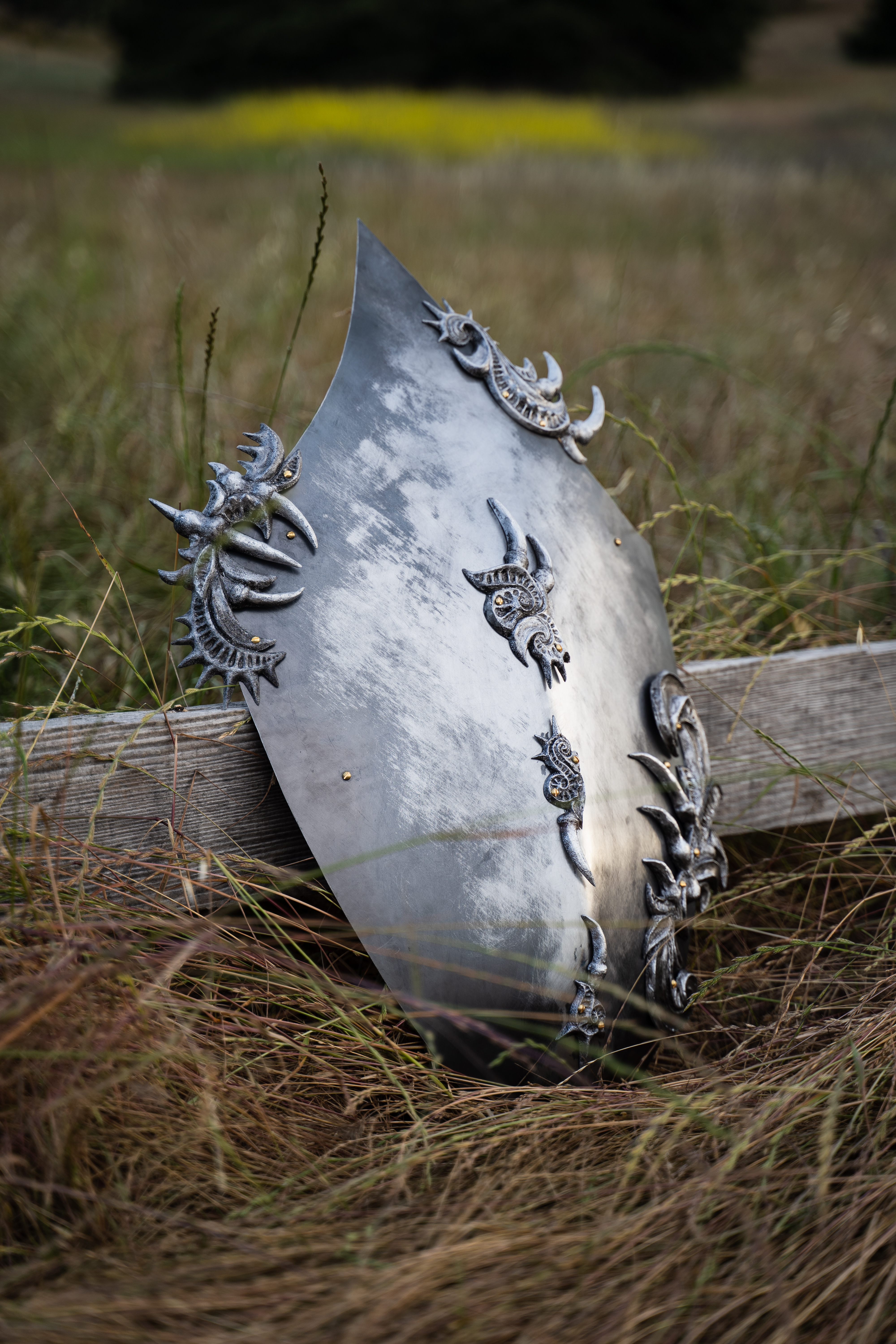 Shield